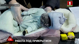 В России задержали женщину, которая прятала наркотики в муляже грудного ребенка. На самом деле там был кот