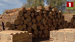Лесхозы Беларуси нарастили экспорт пиломатериалов почти на 40 %