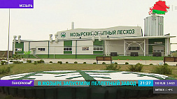 В Мозыре открыт шестой пеллетный завод 