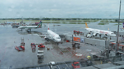 За чистое небо: экоактивисты заблокировали работу аэропортов в Германии 