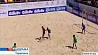 Сборная Беларуси по пляжному футболу в эти дни принимает участие в первом этапе Евролиги