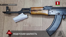 В Жлобинском районе 10-летняя девочка из пневматического оружия обстреляла соседский дом 