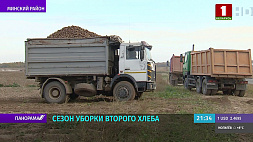 Хозяйства Беларуси активно занимаются закладкой на зиму картофеля и других овощей