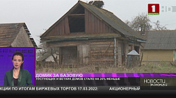 Пустующих и ветхих домов в Беларуси стало на 25 % меньше