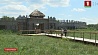 Археологический музей под открытым небом открылся в Беловежской пуще
