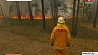 В Австралии бушуют лесные и степные пожары 