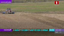 В Беларуси завершается сев озимых