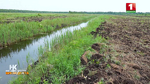 В Беларуси используется без малого 3 млн га мелиорированных земель 