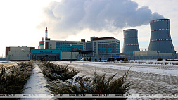 Лукашенко поручил выяснить, какие энергоемкие производства можно разместить около БелАЭС