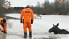 Несколько часов провели на реке  борисовские спасатели