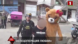 В Перу полицейский переоделся в костюм медведя и выманил преступницу из дома