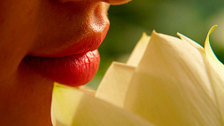 Как снизить частоту появления герпеса на губах
