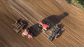 Минсельхозпрод: ранние яровые зерновые в Беларуси посеяли на 90 % площадей