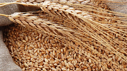 Литовский бизнес хочет и дальше торговать российским зерном