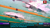 19 медалей завоевали белорусские паралимпийцы на чемпионате Европы по плаванию 
