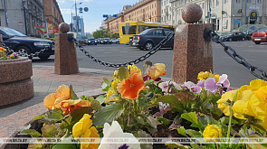С начала года в Беларусь въехали почти 43 тысячи граждан Украины
