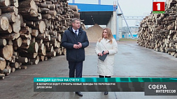 В Беларуси будут строить новые заводы по переработке древесины