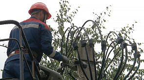 На полное восстановление электросетей в Гомельской области потребуется не менее месяца