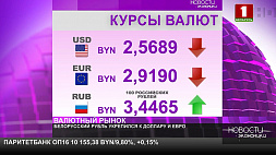 Курсы валют на 13 января - белорусский рубль укрепился к доллару и евро