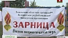Школьники из всех районов Гомельской области соревнуются в военно-патриотической игре "Зарница"