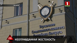 Подробности жестокого убийства 3-летней девочки в Бобруйске 