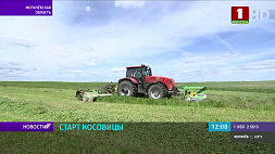 В Беларуси стартовала косовица - аграрии работают фактически круглосуточно