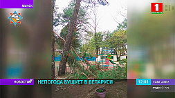 Циклон с Атлантики принес в Беларусь шквалистый ветер и проливные дожди