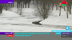 Оранжевый уровень опасности в Беларуси - сильный ветер