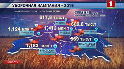 Пять с половиной миллионов тонн зерна нового урожая собрали белорусские аграрии