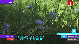В выходные в Беларуси до +34°c и без осадков