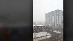 Зимняя сказка в Казахстане - местные жители делятся кадрами снегопада