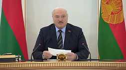 Лукашенко: Мы готовы к восстановлению добрых отношений со своими соседями