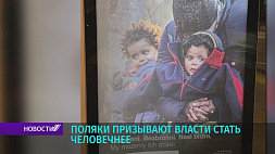 "Мы можем их спасти" - такие плакаты с социальной рекламой появились в Варшаве 