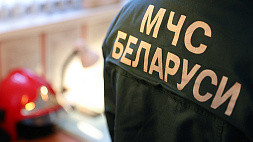 В Беларуси за сутки при пожарах погибли 2 человека