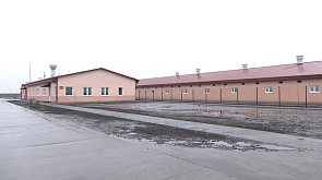 Новый высокопроизводительный свиноводческий комплекс на 24 тыс. голов открыли в Пинском районе 