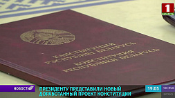 Президенту Беларуси представили новый доработанный проект Конституции 