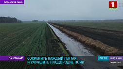 На благо урожая: треть сельхозземель в Беларуси - мелиорированные 