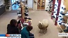 Среди рабочего дня в обувной магазин в Голландии зашли две овцы