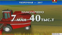 Беларусь рассчитывает получить более 8 миллионов тонн зерновых без учета кукурузы