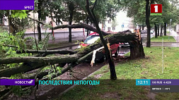 Последствия непогоды в Беларуси: упавшие деревья, поврежденные авто, обошлось без пострадавших