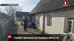 СК выясняет обстоятельства двойного убийства в Пуховичском районе