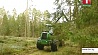 Почти половина древесины в Беларуси заготавливается по финской технологии 