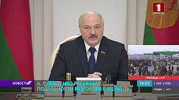 А. Лукашенко рассказал подробности разговора с Меркель