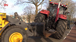 Тракторы  на улицах Нидерландов - возобновились протесты фермеров