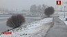 В Беларуси сегодня мокрый снег и до плюс двух