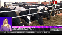 Более 7,588 млн тонн молока произвели в 2021 году сельхозорганизации Беларуси 