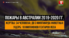 Мертвая тишина в лесах, 3 млрд жертв среди животных - что или кто является причиной пожаров в Австралии