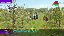 В Беларуси в 2022 году планируют собрать около миллиона тонн плодов