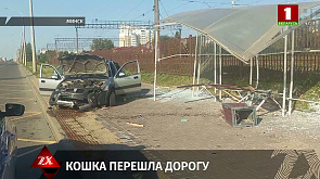 В Минске водитель из-за кошки врезался в остановку