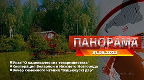 Главные новости в Беларуси и мире. Панорама, 31.05.2023